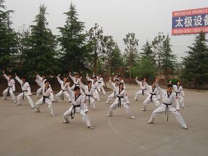 Martial art training