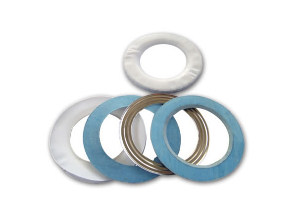 PTFE Envelope Gaskets for Glass-Lined Equipment